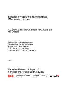 Biological Synopsis of Smallmouth Bass