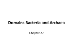 5 Lecture (Bacteria Ch27)