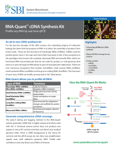 RNA-Quant™ cDNA Synthesis Kit