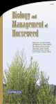 Biology and Management of Horseweed