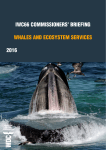 whales and ecosystem services - Whale and Dolphin Conservation