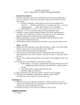 digestive biochem combo study guide KEY