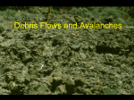 Debris Flows and Avalanches