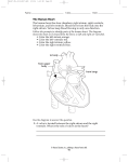 The Human Heart The human heart has four chambers: right atrium