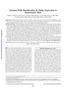 Genome-Wide Identification of Allelic Expression in Hypertensive Rats