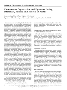 Chromosome Organization and Dynamics during Interphase, Mitosis