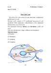 The Cell Cycle