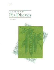 Handbook of Pea Diseases - The Learning Store