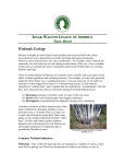 Ecology of Wetlands - Minnesota Division Izaak Walton League of