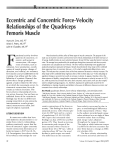 Eccentric and Concentric Force-Velocity Relationships