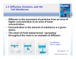 1.3 Diffusion, Osmosis, and the Cell Membrane • Diffusion is the