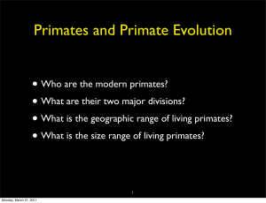 Primates and Primate Evolution