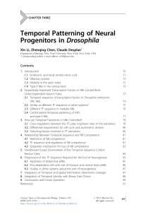 Temporal Patterning of Neural Progenitors in Drosophila