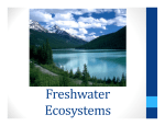 Freshwater Ecosystems Notes 11.12.13