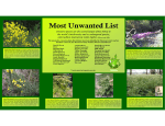 Most Unwanted List