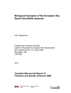 Biological synopsis of the European Sea Squirt