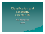 Classification and Taxonomy Chapter 18