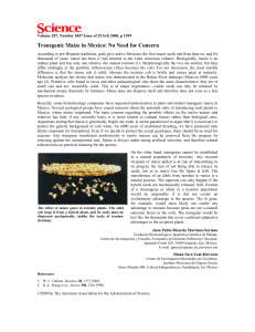 Transgenic maize in Mexico
