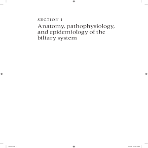 Anatomy, pathophysiology, and epidemiology of the biliary system