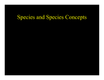 Species and Species Concepts