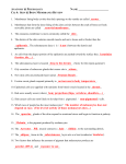 Review Assignment Answers File