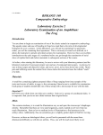 PDF Document Lab 2