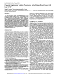 Progestin Regulation of Alkaline Phosphatase in