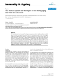 The immune system and the impact of zinc during aging | SpringerLink