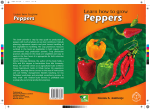 Peppers - CTA Publishing - Technical Centre for Agricultural and
