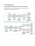 Unit 4 modified portfolio Comparing Mitosis and Meiosis