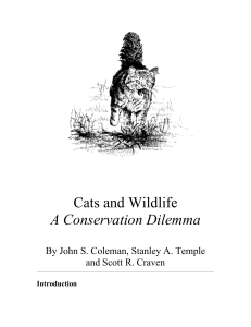Cats and Wildlife A Conservation Dilemma