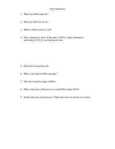 DNA Worksheet 1. What does DNA stand for? 2. What does DNA do