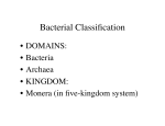 Bacterial Classification