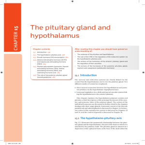 The pituitary gland and hypothalamus