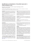 Identification and distribution of interstitial Cajal cells in human