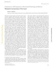 Metabolic homeostasis of the heart