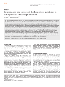 Inflammation and the neural diathesis-stress hypothesis of