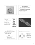 6_Biol 102_Chapter 11