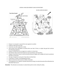 LESSON 2 HOW DOES ENERGY FLOW IN ECOSYSTEMS