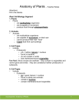 Anatomy of Plants – Teacher Notes