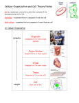 Cellular Organization and Cell Theory Notes