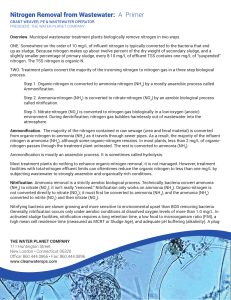 Nitrogen Removal from Wastewater: A Primer