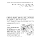 From the diaphragm arches to the ribbed vaults. An hypothesis for