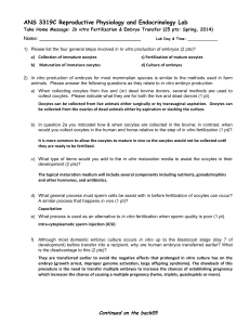 IVF Lab Key - UF Animal Science