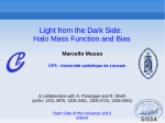 Light from the Dark Side: Halo Mass Function and Bias