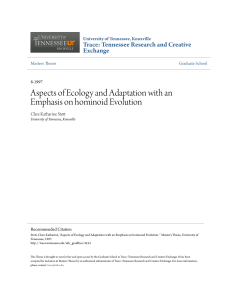 Aspects of Ecology and Adaptation with an Emphasis on hominoid