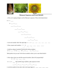 Fibonacci Sequence and Fractal Spirals