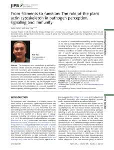 From filaments to function: The role of the plant actin cytoskeleton in