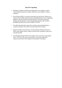 JAK/STAT signalling • Binding of cytokines (small protein ligands) to
