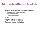 Pathophysiology of Disease